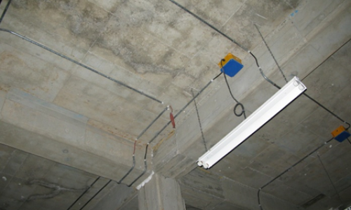 09